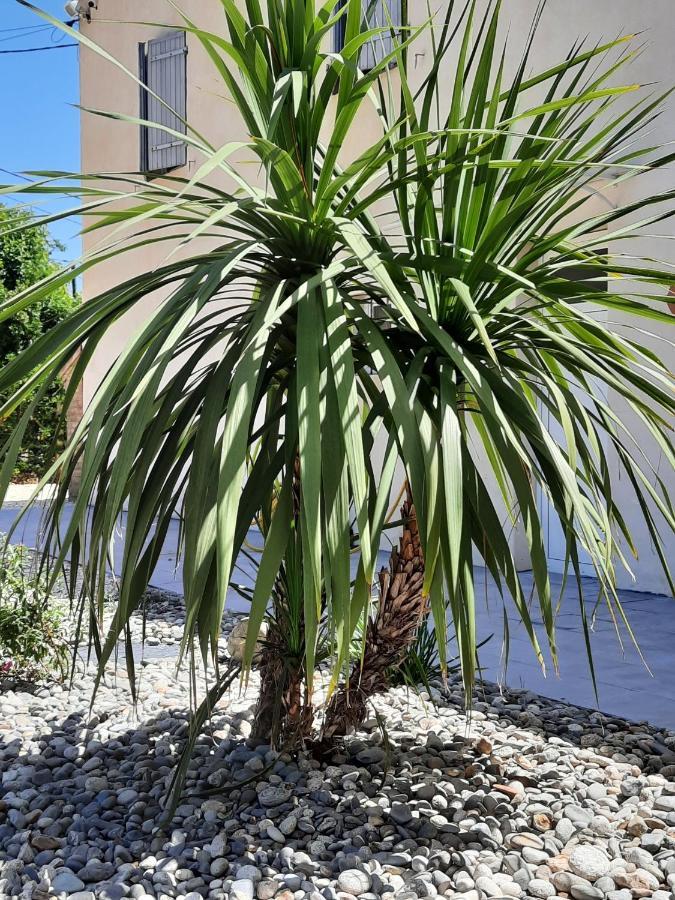 Gite 4 Personnes Avec Piscine Entre Saintes Et Royan Balanzac ภายนอก รูปภาพ